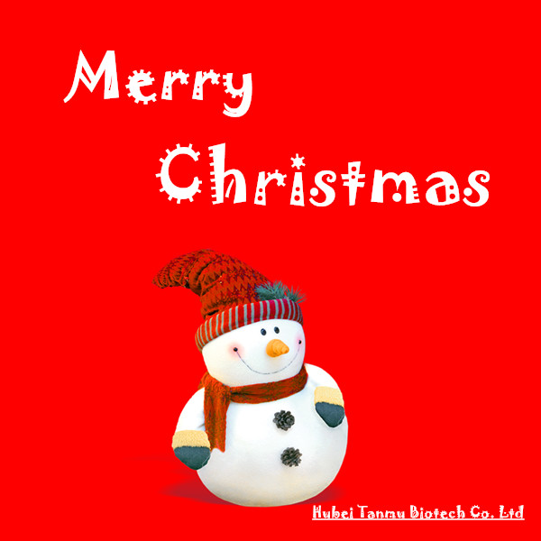 merry xmas